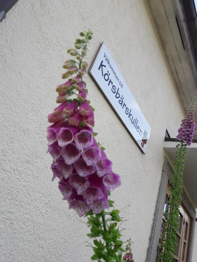 A Pousada Koersbaerskullen Vimmerby Exterior foto